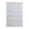 EZY CHEST 6 DRAWERS