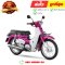 ชุดสี Super Cub ปี2018 สีชมพู-ขาว RP190 เบาะสองตอน แท้ศูนย์ ยี่ห้อ Honda By ไทยนำอะไหล่ยนต์