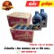 น้ำมันเครื่อง 1 ลิตร ADVANCE VSX 2T ยี่ห้อ SHELL (จำหน่ายยกลัง) By ไทยนำอะไหล่ยนต์