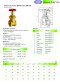 Brass Gate Valve, BGA-AKZ, BSPT, Class 200 PSI