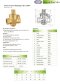 Brass Pressure Reducing Valve, BSPT