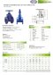 Ductile Iron Resilent Seat Gate Valve, NRS, PN16 (BS-CAP)