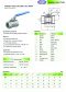 Stainless Steel 1PC Ball Valve, BSPT (Light)