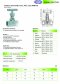 Stainless Steel Needle Valve, BSPT, Class 600 PSI