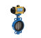 Pneumatic Butterfly Valve SIRCA