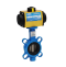 Pneumatic Butterfly Valve SIRCA