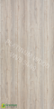 WVB 5449 - Noce Dolceza