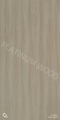 T 1402D Misty Maple