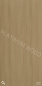 T1102S Ash Two