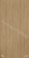 T1002S Fancy Two