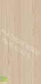 TW10-53752 SE PASTO PINE (4x10 Ft.)