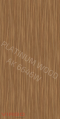 AK 6646 W Cinnamon Poplar