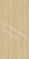 PP 6668 W