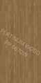 PP 6670 W