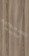 PP 6676 W