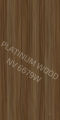 NV 6679 W