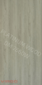 DM 7660 W Wishaw Elm