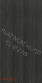 CS 6527 W Slate Tandy