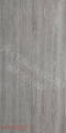 NV 5624 W Platinum