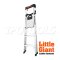 15250-001 บันไดอลูมิเนียม XTRA-LITE PLUS 3 ขั้น 5' "LITTLE GIANT"