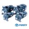 "PURITY" PCm220C ปั๊มน้ำหอยโข่งใบพัดเดียว ท่อเข้าออก 2 นิ้ว 3 แรง 220V