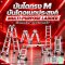 บันไดทรง M คืออะไร? บันไดอเนกประสงค์ Multipurpose Ladder ใช้งานอย่างไร เลือกแบบไหนดี