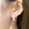 KD4544