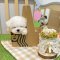 Bichon Frise - Buddy