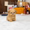 Maltipoo - Teddy