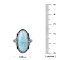 925 Sterling Silver Ring with Larimar