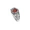 925 Sterling Silver Ring with Garnet