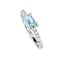 925 Sterling Silver Ring with Sky Blue Topaz and White Topaz