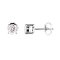 925 Sterling Silver Earrings with Moissanite