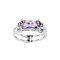 925 Sterling Silver Ring with Amethyst