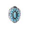 925 Sterling Silver Ring with Turquoise