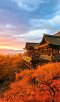6 steps การไหว้พระที่ศาลเจ้าญี่ปุ่น   