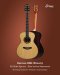 Herman HM9 Waverly Sitka Spruce - East Indian Rosewood