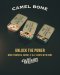 Camel Bridge Pins Guitar Custom บริดพินกีตาร์กระดูกอูฐ Abalone Dot Inlay