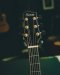 Herman Custom Model 2025 Adirondack Cocobolo Arrow