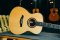 Herman Custom Model 2025 Adirondack Cocobolo Arrow