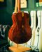 Herman Custom Model 2025 Adirondack + Mexican Cocobolo