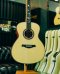 Herman Custom Model 2025 Adirondack + Mexican Cocobolo