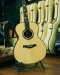 Herman Custom Model 2025 Adirondack + Mexican Cocobolo