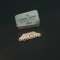 Camel Bridge Pins Guitar Custom บริดพินกีตาร์กระดูกอูฐ Abalone Dot Inlay