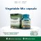 ผงผัก มิกซ์ แคปซูล Vegetable Mix Capsule (ผลิตภัณฑ์เสริมอาหาร) (ตรา ซีอีโอ แฟคตอรี่)