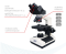 กล้องจุลทรรศน์ชนิด MICROSCOPE 2 ตา รุ่น MCS 2018 A LED