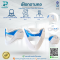 เฝือกดามคอ แบบปรับขนาดได้ Adjustable Cervical Collar ยี่ห้อ HeadStar
