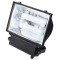 Induction Lamp Flood Light