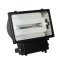 Induction Lamp Flood Light