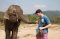 One Day Elephant Sanctuary  + Doi Inthanon  Hiking
